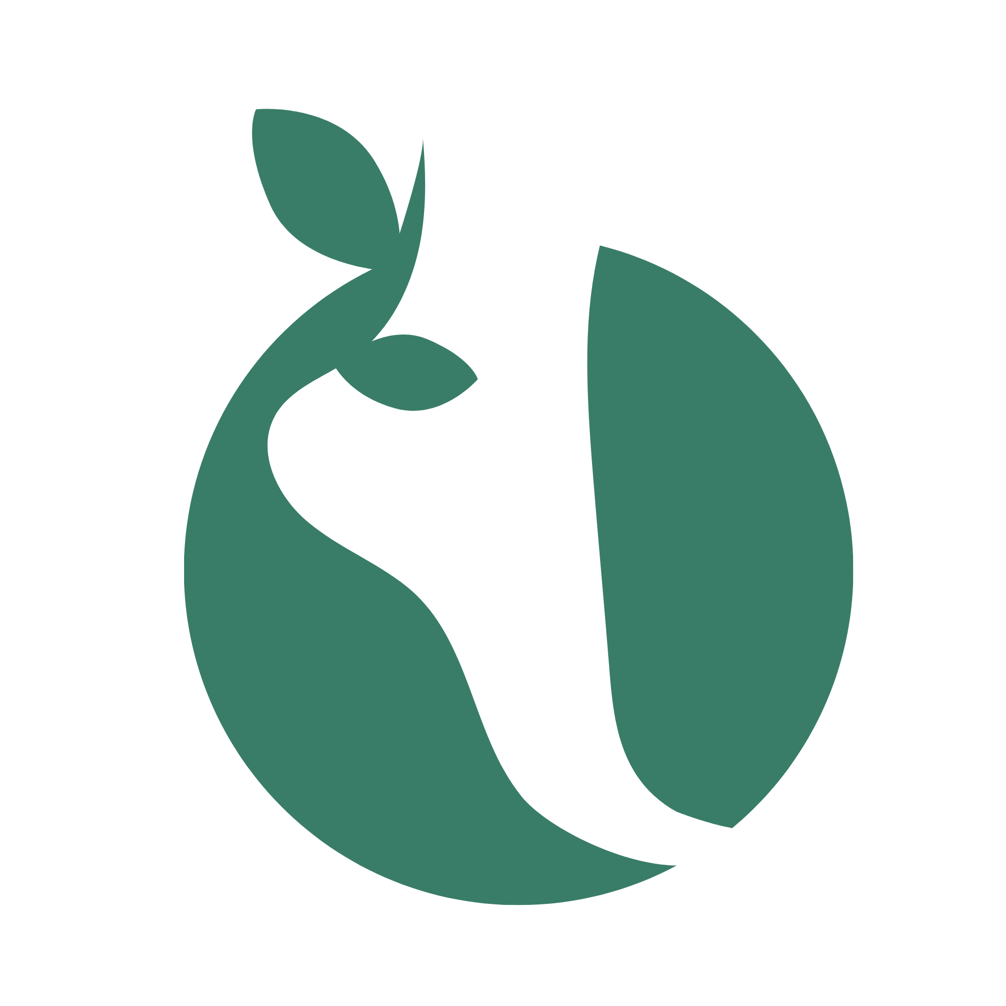 Synergies Ancestrales